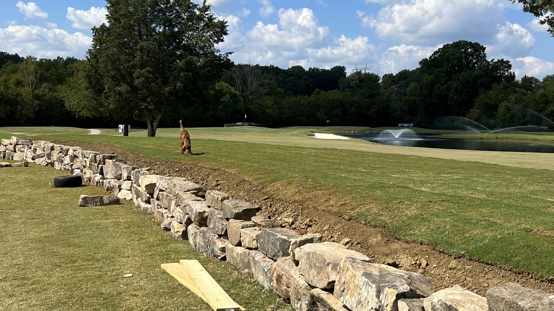 A long hand-laid stone wall running along the edge of a fairway